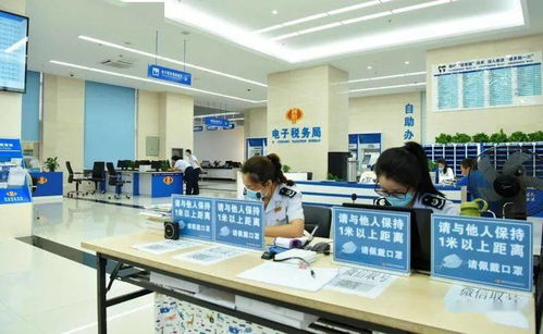 將操心變省心，從少跑到不跑——仙居納稅服務真贊